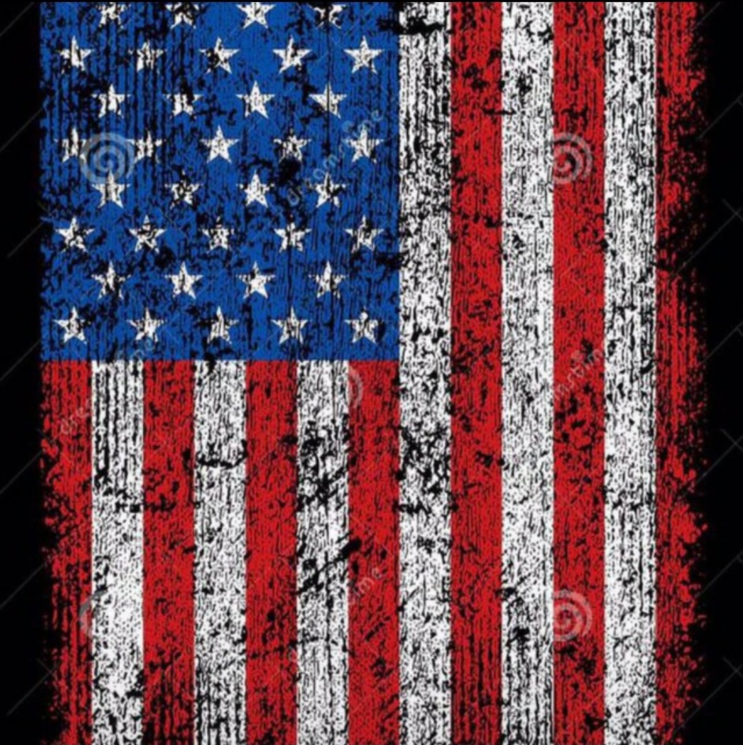 Our beloved Country 🇺🇸