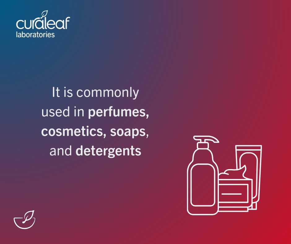 Linalool- a terpene that dominates a lot of modern day cannabis strains.