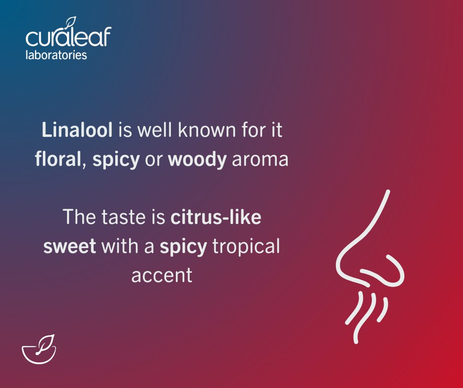 Curaleaf_Labs's tweet photo. Linalool- a terpene that dominates a lot of modern day cannabis strains. https://t.co/jcwTDtHurY
