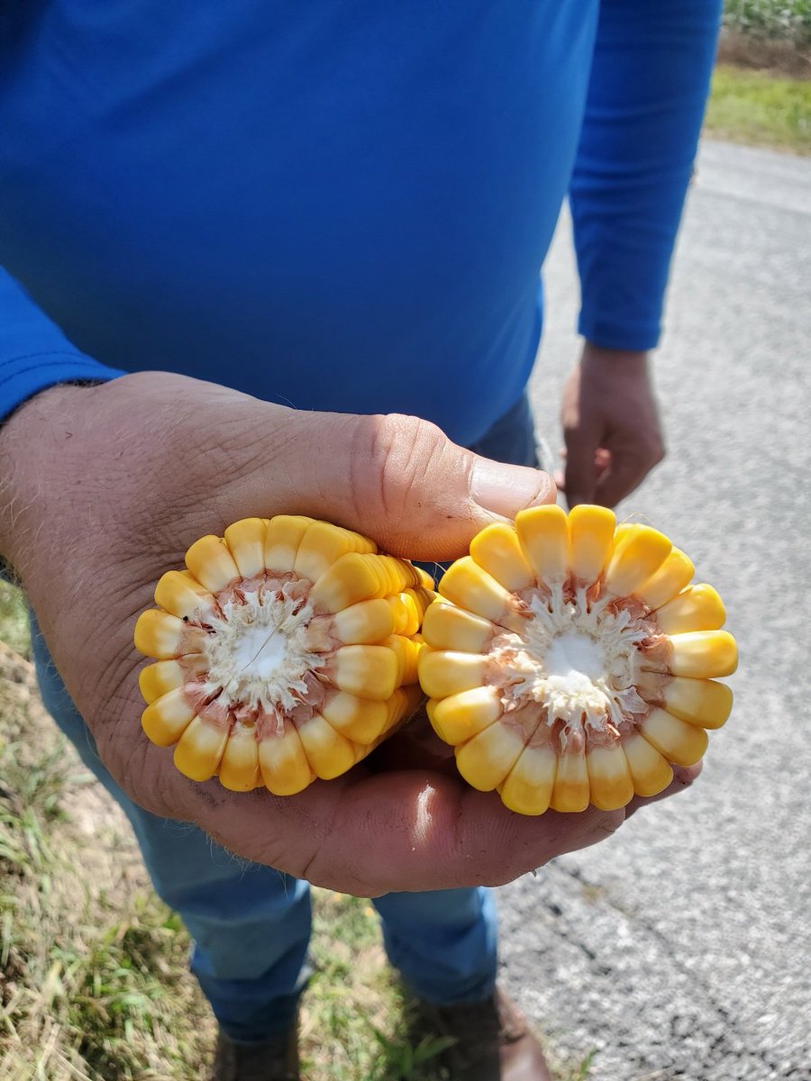 Mark Bernard tweet media