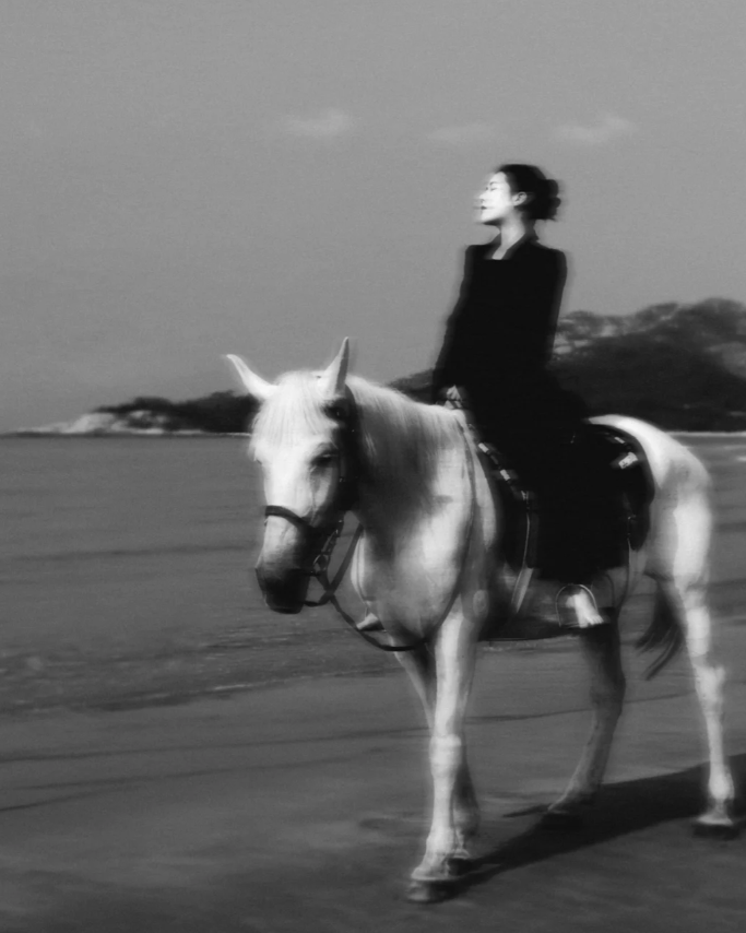 Life is like a wild horse, sometimes it runs as fast as the wind, sometimes it is leisurely and free