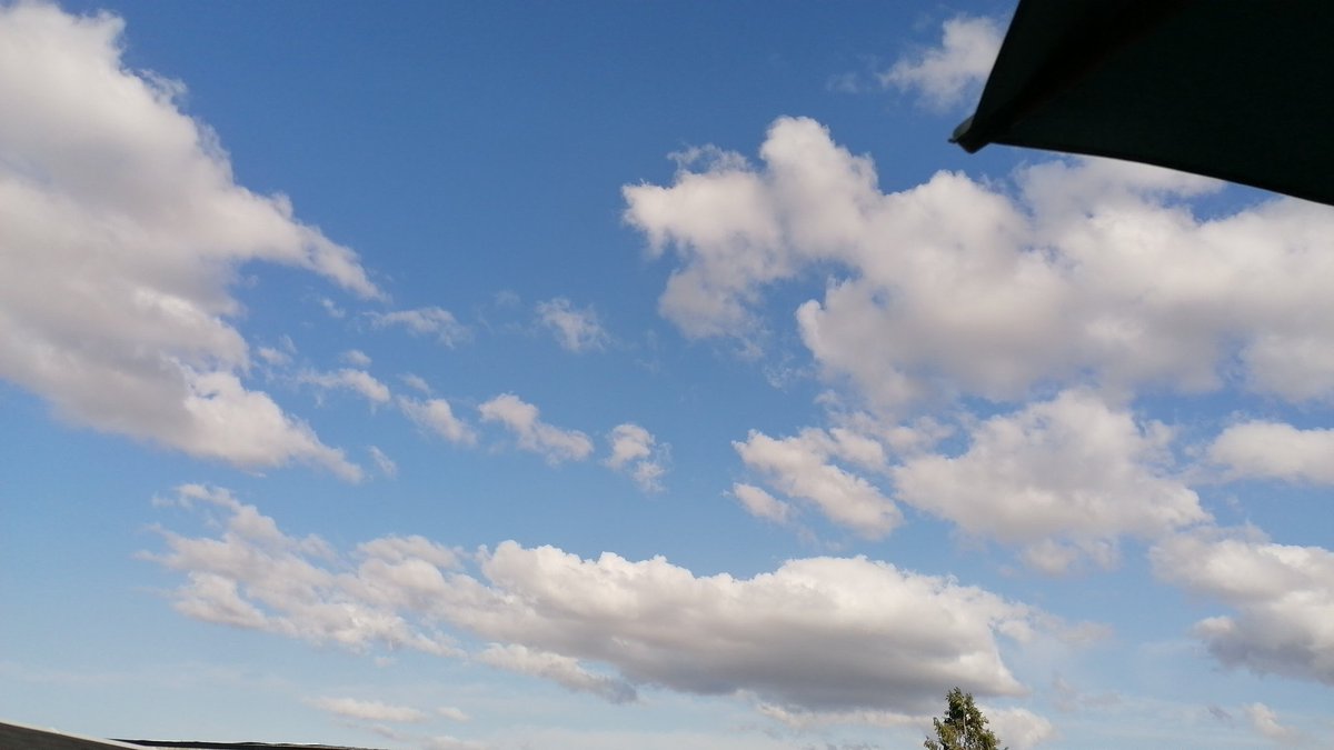 Time to sit in the garden, look at the sky and think.