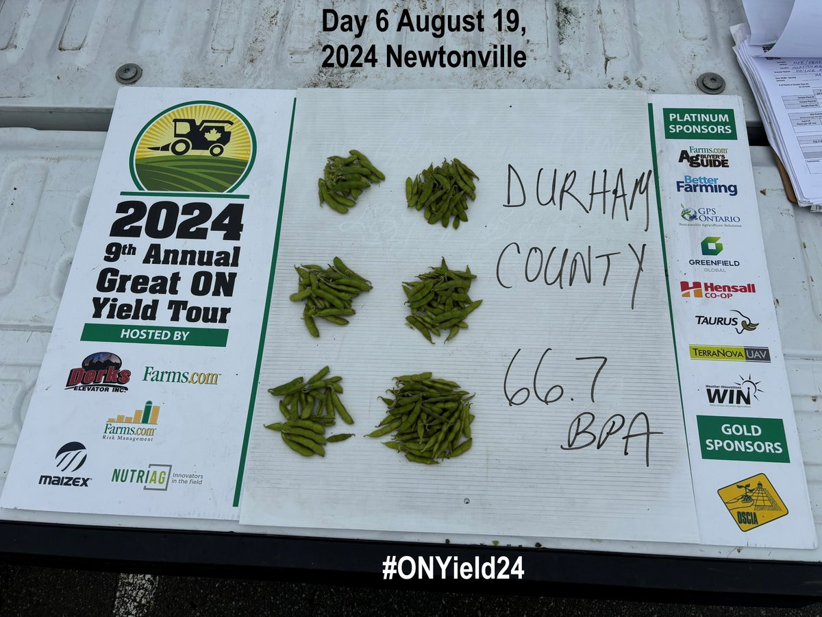 FarmsMarketing's tweet photo. Day 6 August 19, 2024 stop #1 #ONYield24 in #Durham County #Orono #corn yield check solid but has a touch of #beancutworm. #soybean yield check well above average in #Newtonville. Soybeans continue to impress! @OntAg  Thank You Gold Sponsor @OntarioSoilCrop https://t.co/DJEZ4tYBIi