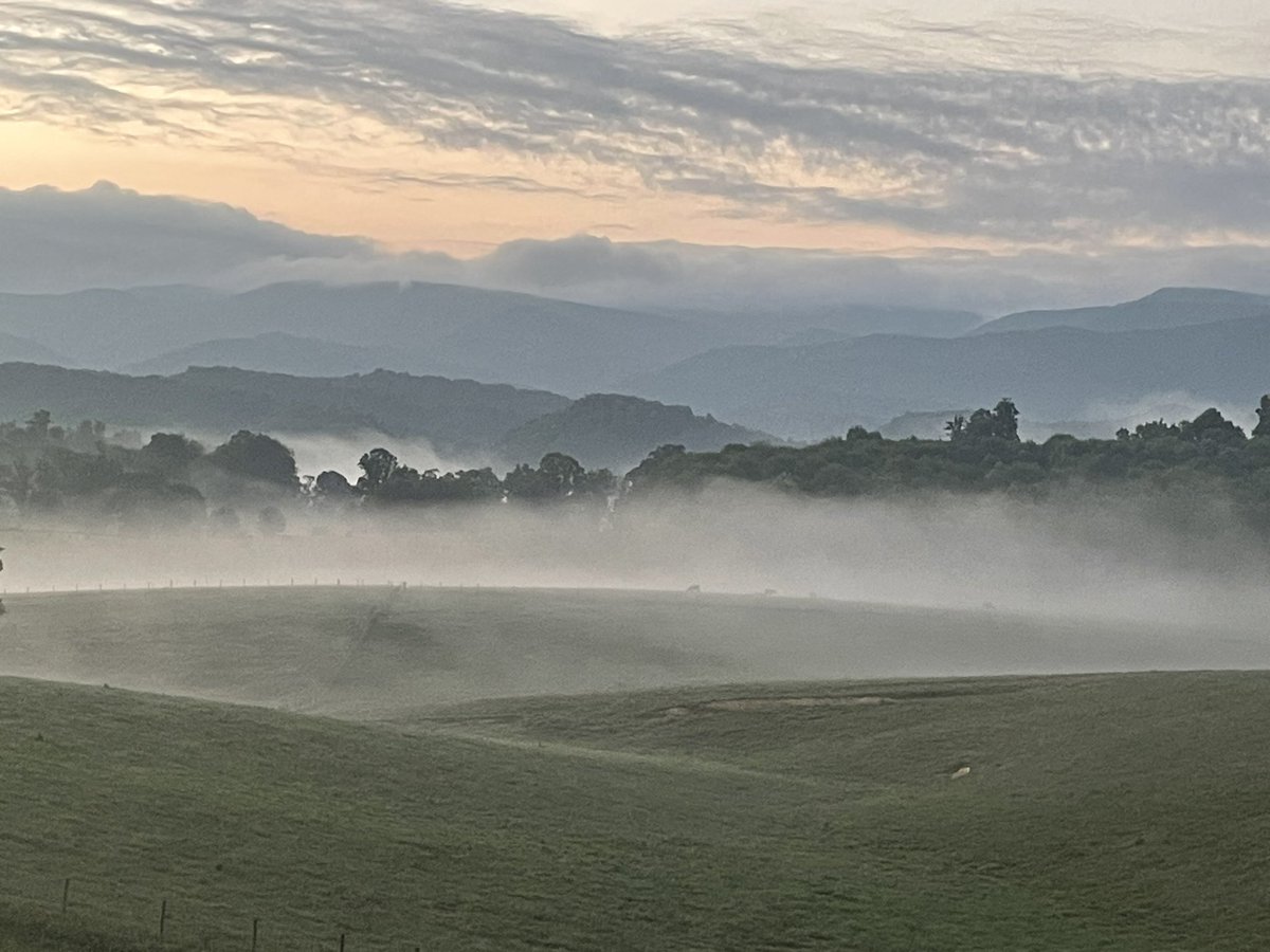 cathynreid's tweet photo. This morning. 🤍 #swva #tuesday #mostbeautifulplace https://t.co/HlvS1UQP0l