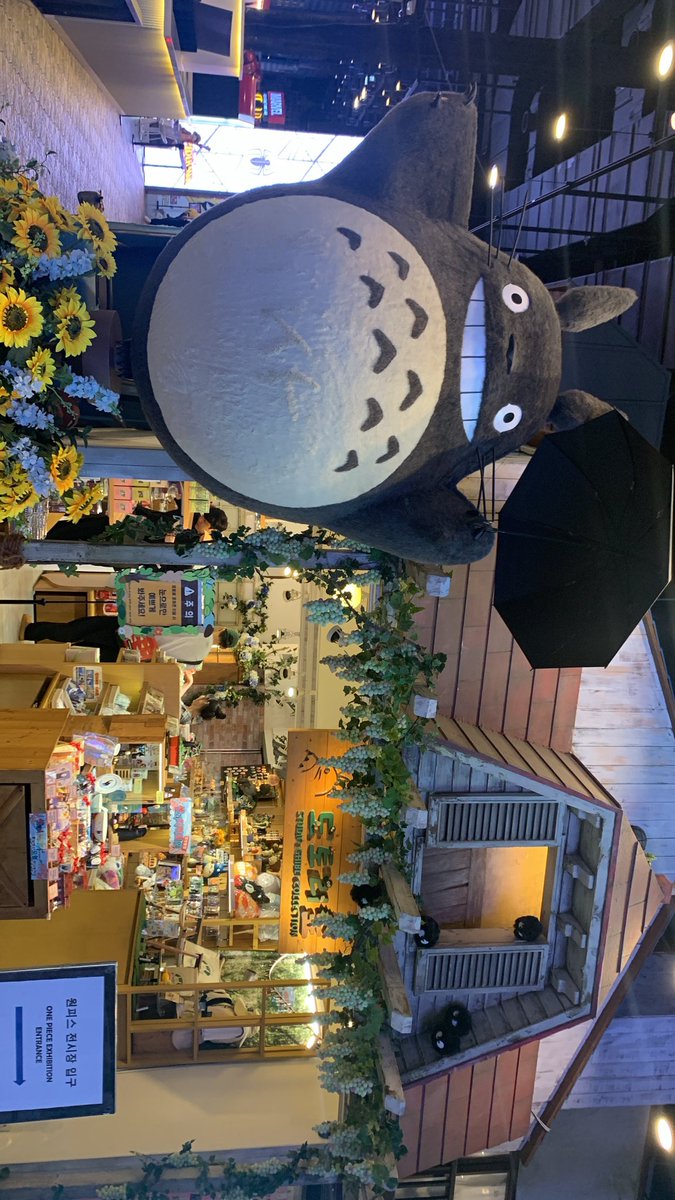 Yona 🇲🇦 tweet media