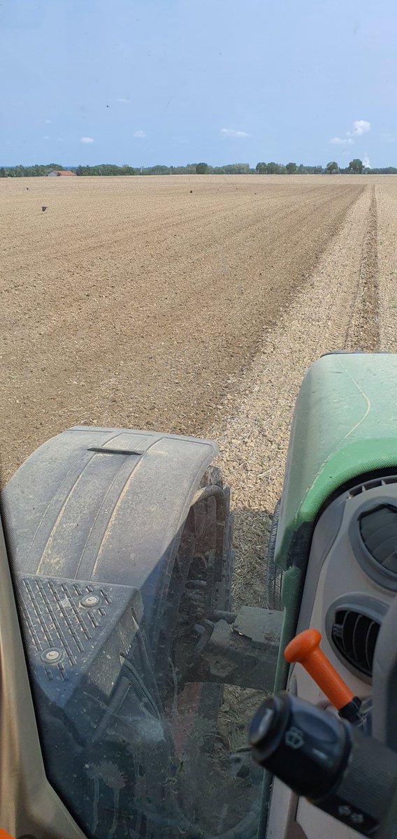 legendre891's tweet photo. Poursuite des #semis de #colza
Mélange #Heclair #Mikados #piano
#KWS @Soufflet_Agri https://t.co/HtAsRt8Zv2