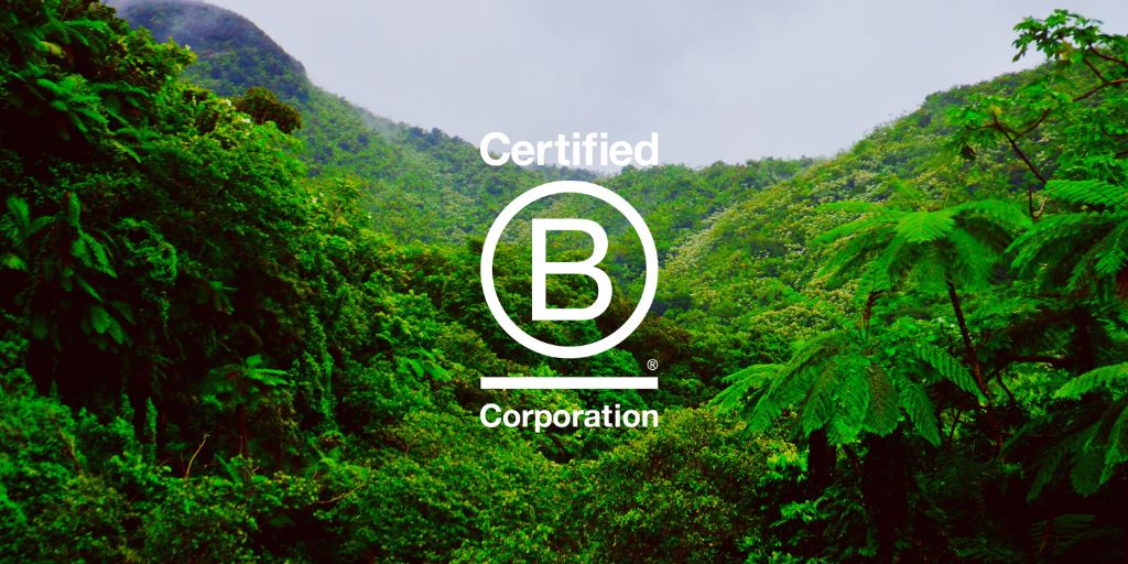 2468 Group tweet media