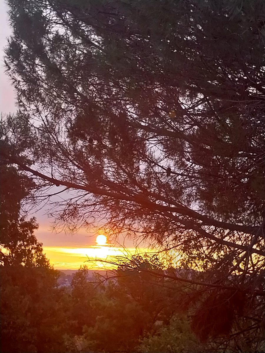 Ç’est parti! 

Harvest 2024 has begun ! 

#harvest24 #vendanges