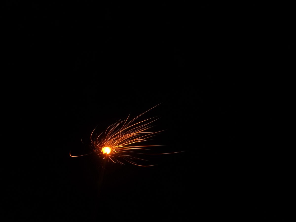 masarutsuruoka's tweet photo. 夏の夜に咲く蒲公英
#ricoh #grdigital4 #fireworks https://t.co/eDyIRxeQ9R
