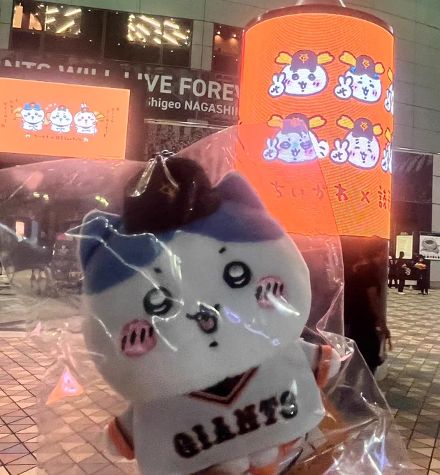〜今日のちい活〜

来ちゃった!『東京ドーム』ッ!!!

明日明後日も仕事で行けないけどチケットなくても場外でグッズ購入できるの助かる〜✨
通販で予約した分も届いてるので帰宅したらまとめて購入品写真撮りまーすッ📷 