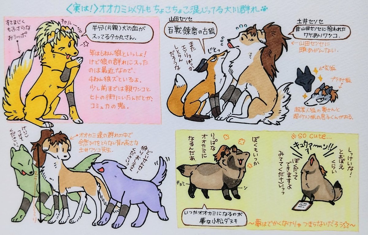 ぼくのかんがえた さいきょおの
オオカミ4️⃣ねんせぇ
⚠️なんでも許せる人向け
ハマシュ🐺の遠吠えは130dBくらいあるかもしれないね…🥹
5️⃣・6️⃣オオカミのまとめはツリー上にて⤴⤴⤴