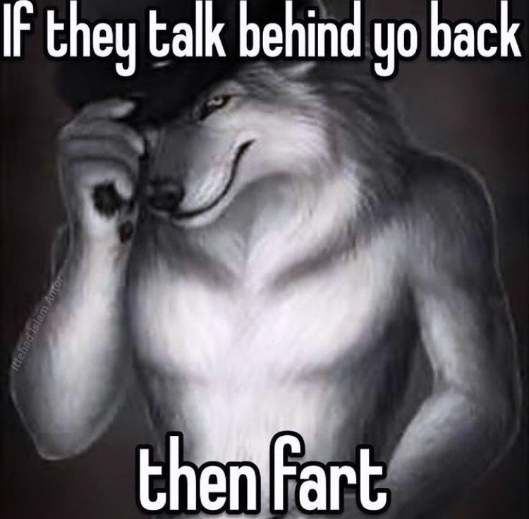 hourly_shitpost's tweet image. ㅤ