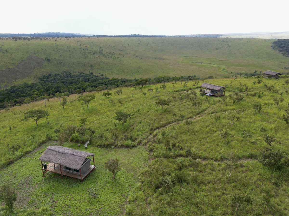 Voici nos tentes sur plateforme. Ces tentes offrent quelques-unes des meilleures vues de Bombo Lumene. Pour réserver ou pour toute question concernant les visites, veuillez contacter Madame Judith au +243817577166 ou au +243995798723. WhatsApp: +243997840438.