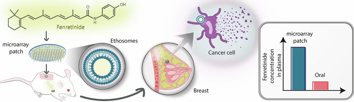 JCRnEDITORS's tweet photo. Novel lipid nanovesicle-loaded dissolving microarray patches for fenretinide in breast cancer chemoprevention.
| Ryan F. Donnelly @pharmacyatQUB | @UKICRS @ryanfdonnelly @CRS_FG_SkinMuco
[50 days' free access]
#transdermal #ethosome #microarray #patch
https://t.co/qK0R1VbAks https://t.co/vfNMWfABUp