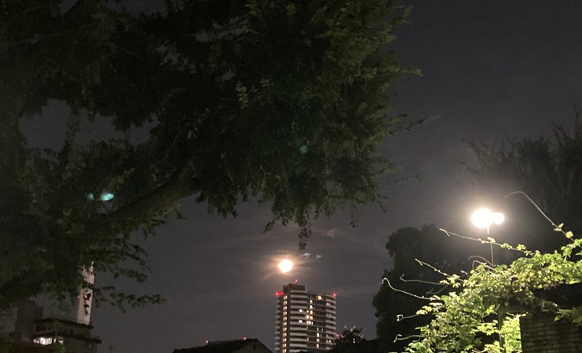 ujimaccha000's tweet photo. まんげつ🌕8/20 https://t.co/JUyW6oXODQ