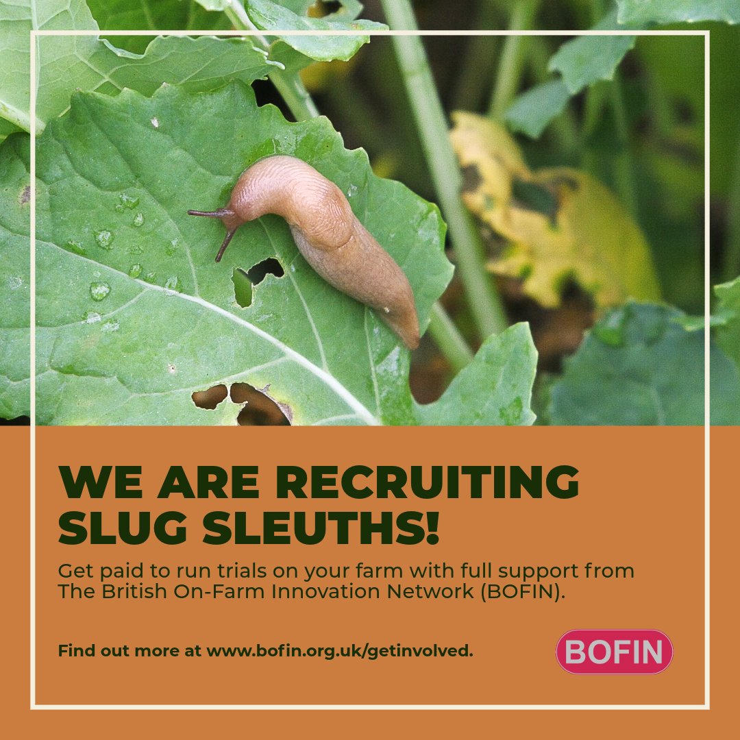 SLIMERS tweet media