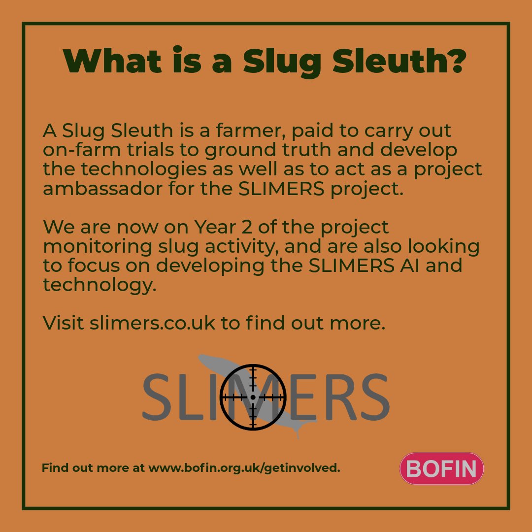 SLIMERS tweet media