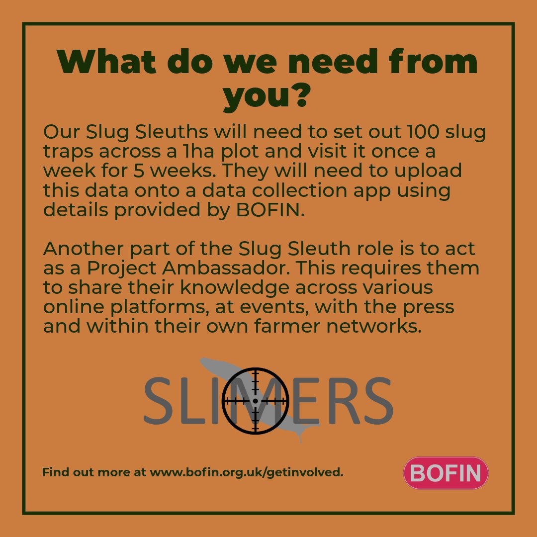 SLIMERS tweet media