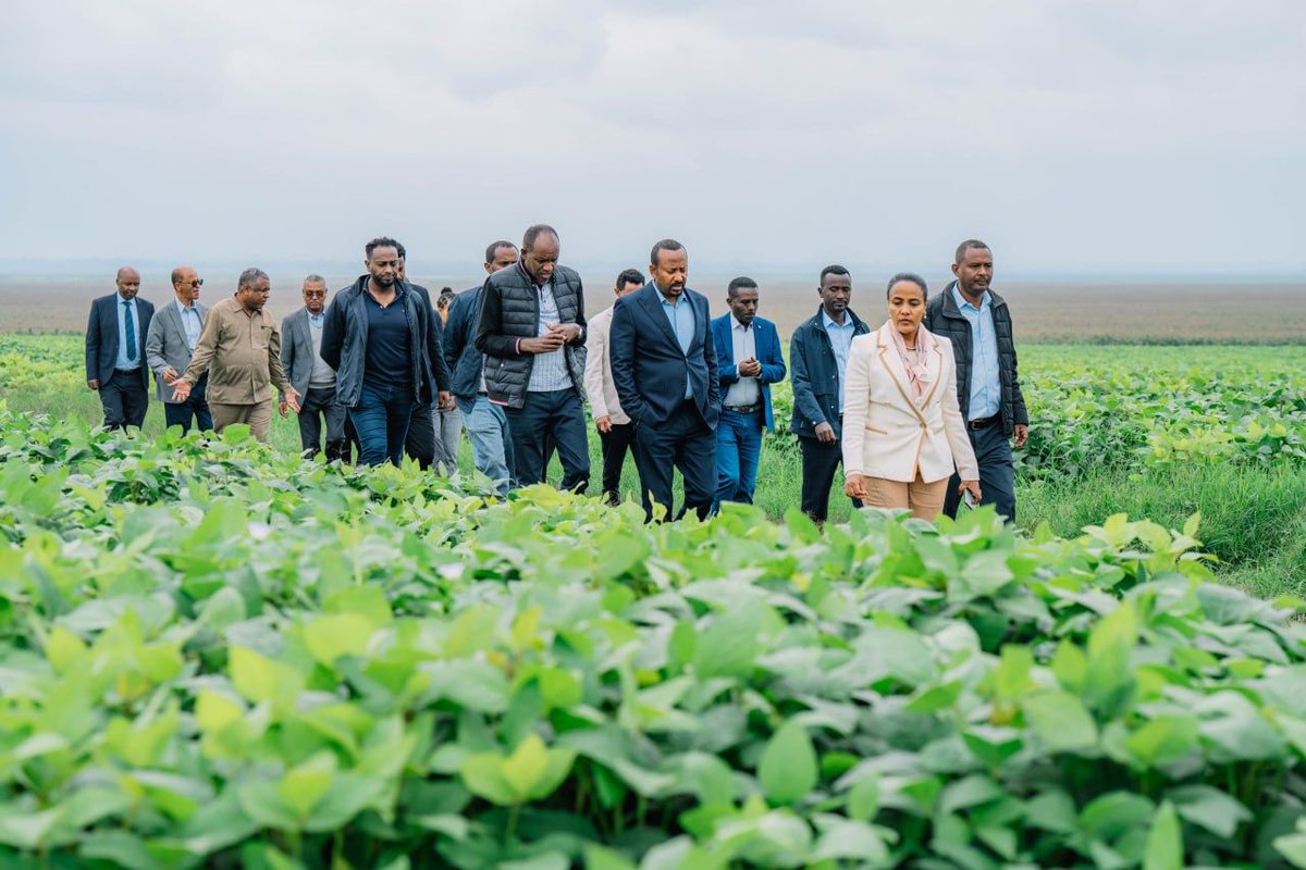 AbiyAhmedAli's tweet photo. Gratitude to the Sidama Region for your continued warm welcome. Today, we reviewed the productivity of the Bounty of the Basket initiative in Hawassa and took part in planting our #GreenLegacy ahead of the upcoming National Planting Day. https://t.co/BIm689Heo4