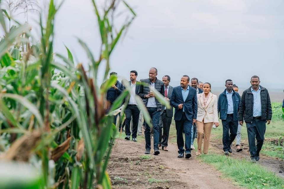 GazettePlusET's tweet photo. ለተደረገልን ደማቅ አቀባበል የሲዳማ ብሔራዊ ክልልን እናመሰግናለን። ዛሬ የሌማት ትሩፋት ያለውን ምርታማነት በሐዋሳ ገምግመን ከመጪው ሀገር አቀፍ የ #አረንጓዴዓሻራ የችግኝ ተከላ ቀን አስቀድሞ ዓሻራችንንም አሳርፈናል።

@AbiyAhmedAli https://t.co/CqSepY0jTY