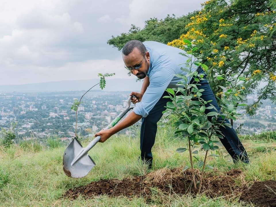 GazettePlusET's tweet photo. ለተደረገልን ደማቅ አቀባበል የሲዳማ ብሔራዊ ክልልን እናመሰግናለን። ዛሬ የሌማት ትሩፋት ያለውን ምርታማነት በሐዋሳ ገምግመን ከመጪው ሀገር አቀፍ የ #አረንጓዴዓሻራ የችግኝ ተከላ ቀን አስቀድሞ ዓሻራችንንም አሳርፈናል።

@AbiyAhmedAli https://t.co/CqSepY0jTY