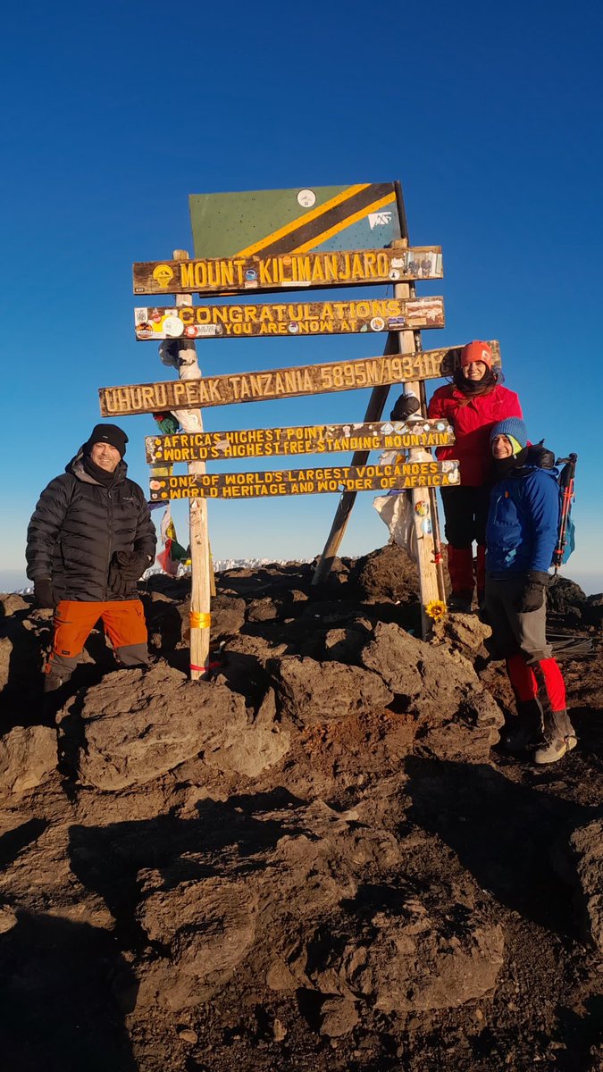 David Stout tweet media