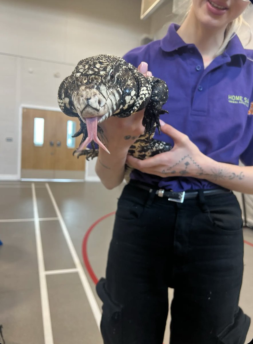 Favourite day of the month here at the harbour! Home safari was a hit with the service users as always🐭🦎💚