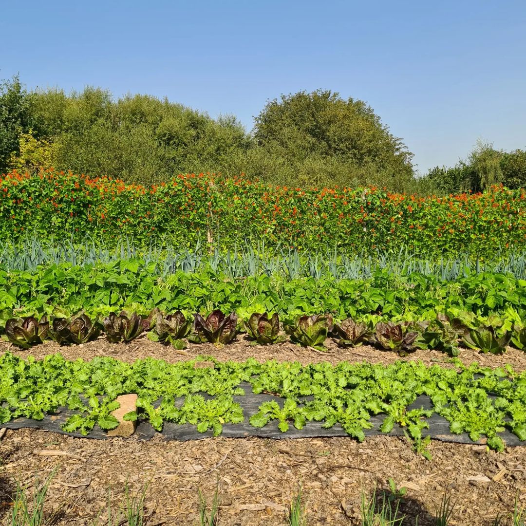 Caught by the River tweet media