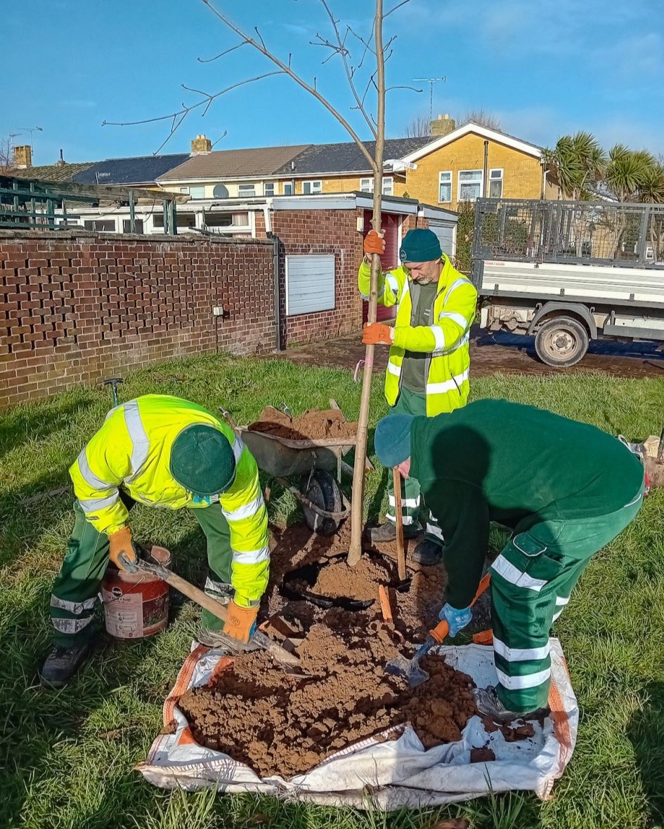 Dozens of trees have been planted in the first year of Worthing's new sponsorship scheme. More than 80 trees have been planted across the Worthing area, boosting biodiversity in the neighbourhoods. Find out more, here:  zurl.co/Rbzn #worthing #sponsoratree