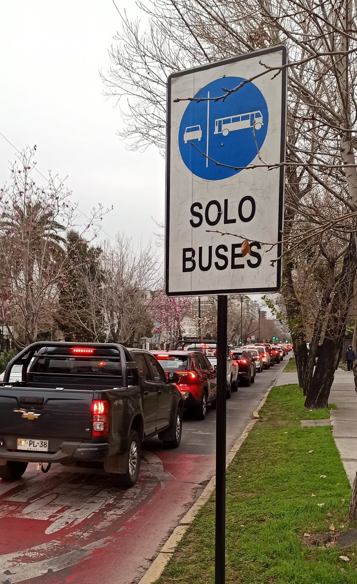 gstierling's tweet photo. ¿Y para usted todavía es un enigma la razón por la cual su bus se demora en pasar?

NO son POCOS los BUSES; SON MUCHOS los AUTOS (y muchos los conductores que violan la Ley). https://t.co/i4G1w3y5qc