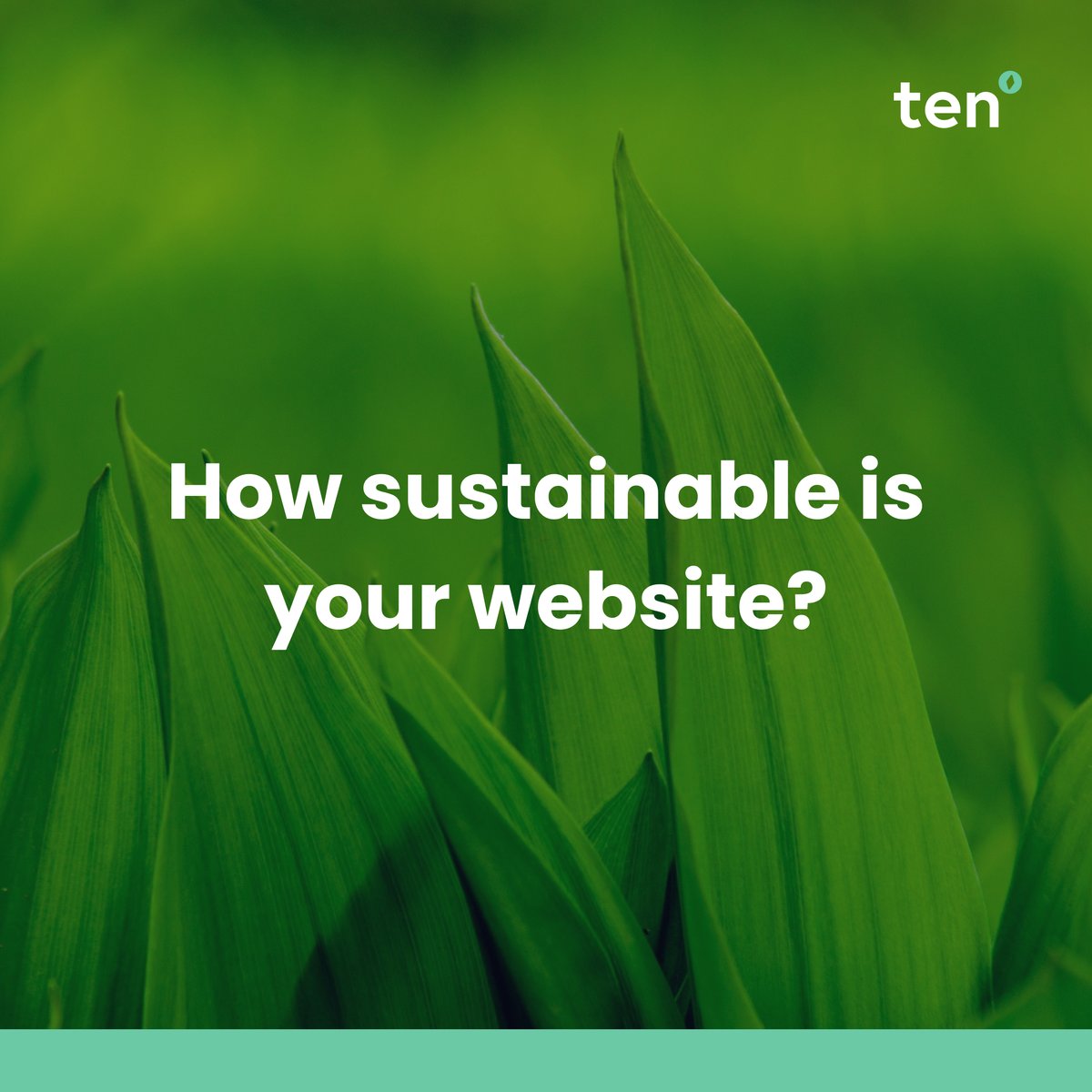 Website sustainability isn't just a buzzword, it's a responsibility. By optimising your website for energy efficiency, you can reduce carbon emissions and create a more sustainable web for the future. 
10degrees.uk/2024/07/23/fiv…

#websitesustainability #wordpress #greenwebsites