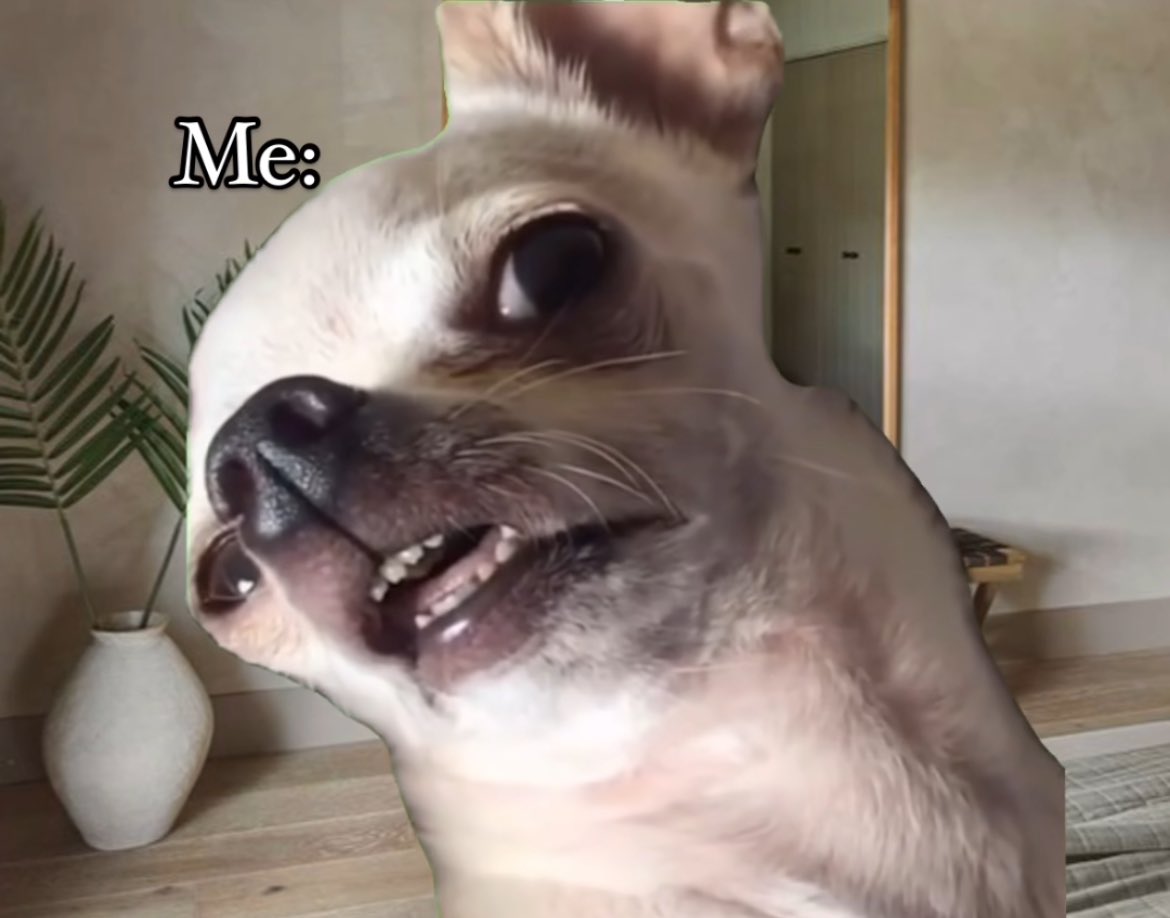 Rikki Carter, M.Ed tweet media