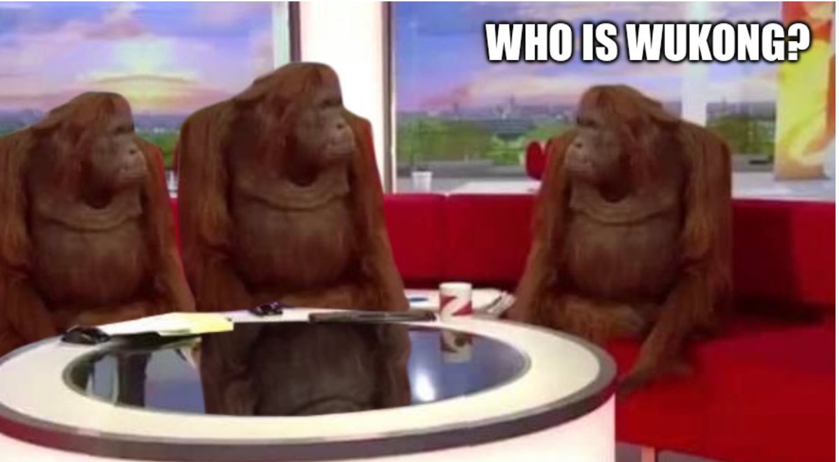 After I played the game whole day.

#BlackMythWukong  #steam #meme