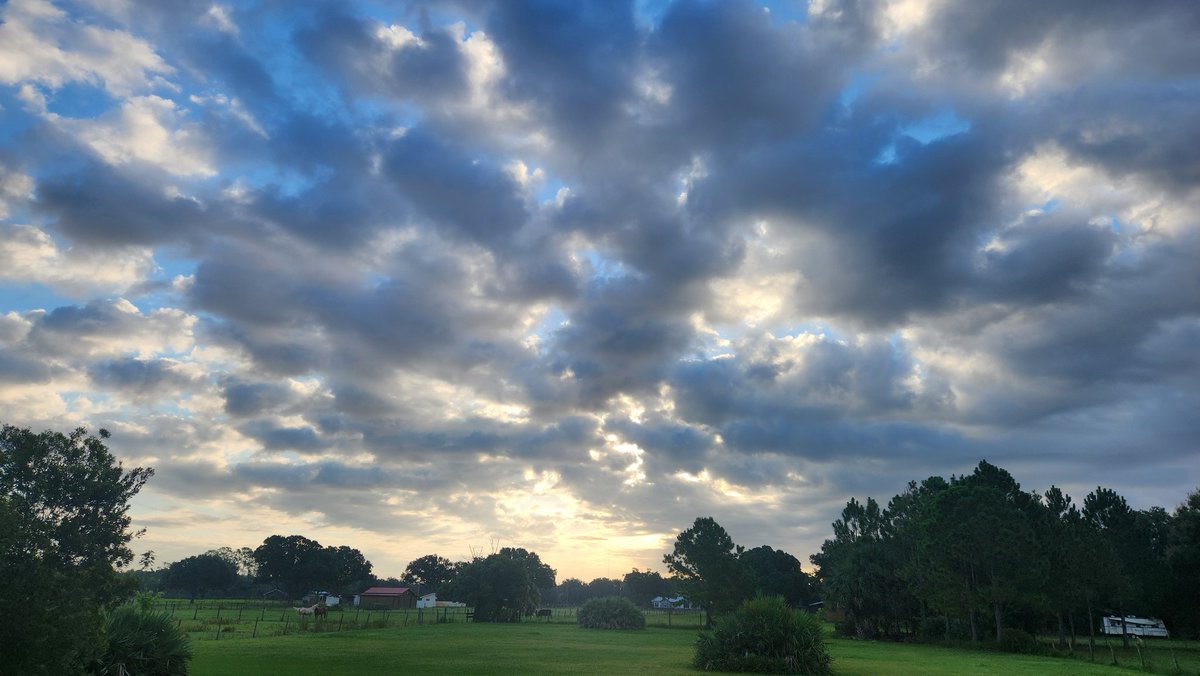 SDWAuthor's tweet photo. Good morning, Lord.
August 20, 2024, Day 233
The earth and the sky will have an end. But my words will never have an end. (Mark 13:31 EasyEnglish)
#goodmorning #goodmorninglord #floridasunrise #sunrise #bibleverse https://t.co/rEKAM6Eci8