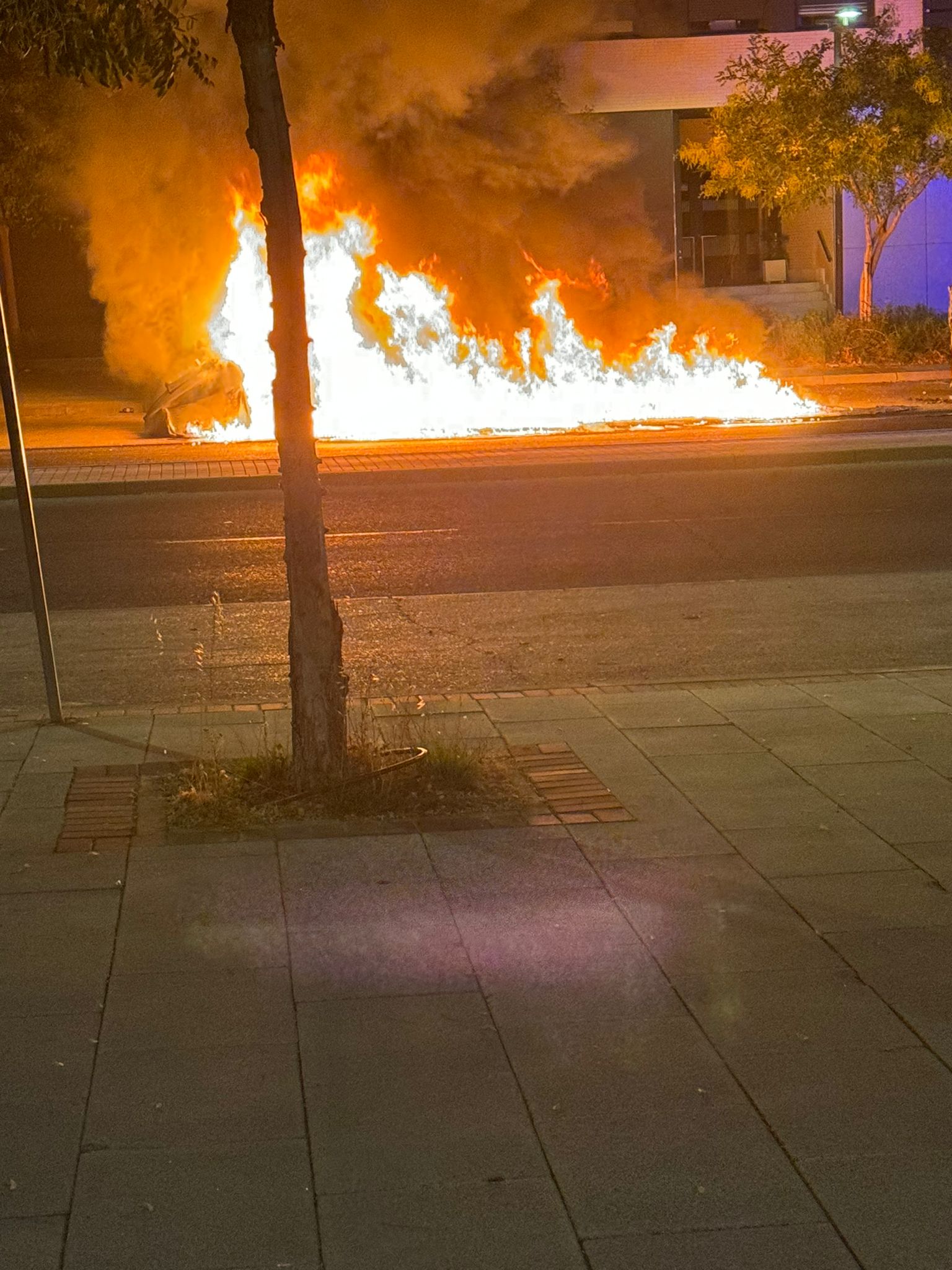 Foto cedida por Espartales Unidos