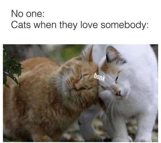 WholesomeMemes tweet media