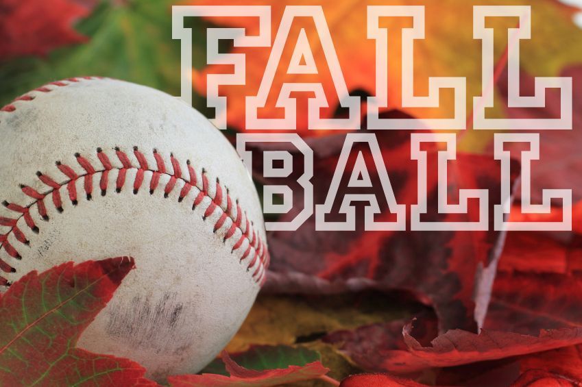 WHTFDABA's tweet image. **WHABA FALL BASEBALL PROGRAM ANNOUNCEMENT** - Registration is Open - mailchi.mp/026d74c4e319/w…