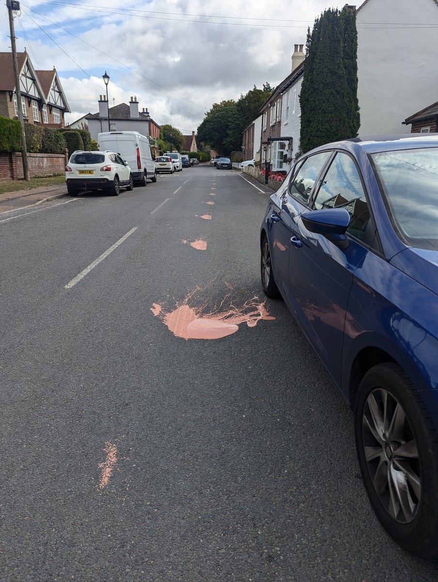 I dropped a pot of paint outside my parents' house and this happened. Could do with a second coat.