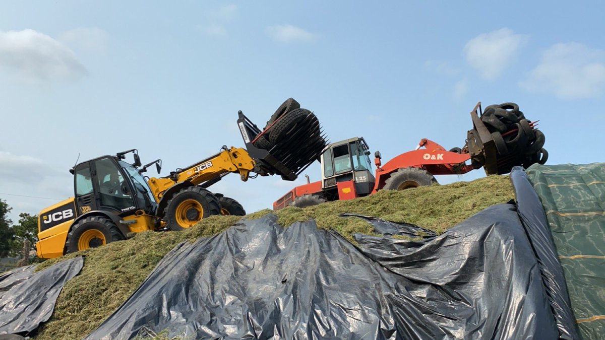 olenehan89's tweet photo. Silage ‘24 https://t.co/RM2Rflf0ff