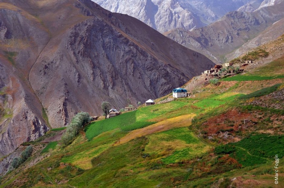 Establishing and managing forests in upstream #mountains can produce positive effects for the whole basin, such as increase water supply for irrigation downstream!