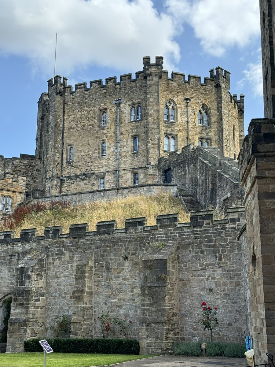 Castle Hunter 🏰 tweet media