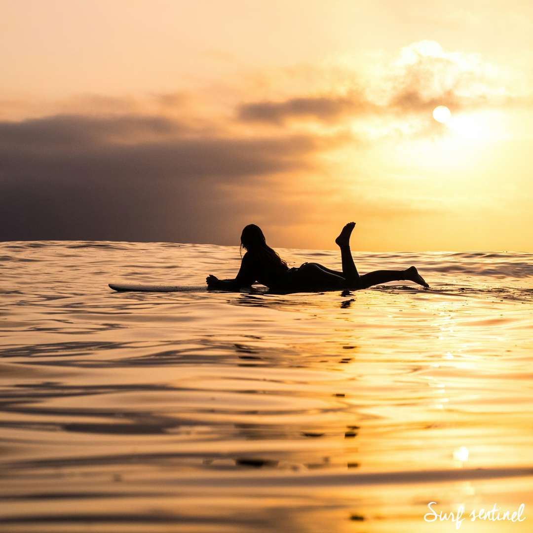 SurfSentinel tweet picture
