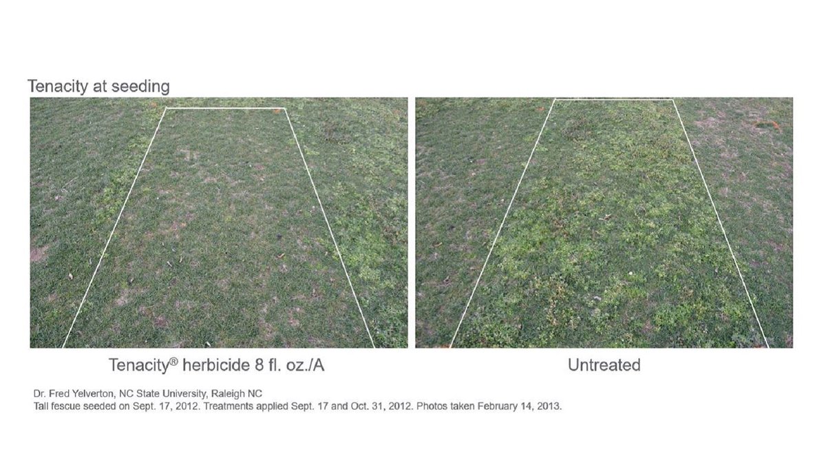 Kill two birds with one stone! ✔️ With #TenacityHerbicide, you can remove grass weeds while re-seeding into bare ground or overseed existing turf. 

Read tips from <a href="/TurfTownsend/">Ron Townsend</a> to learn how Tenacity can help you control your customers’ weeds this fall: bit.ly/4dvhiih