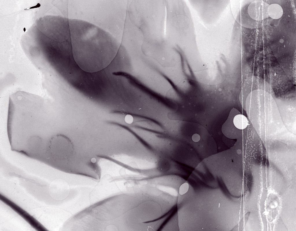 À VENIR | UPCOMING⁠
⁠
Éséry Mondésir : Choublak⁠
⁠
3 septembre 2024 – 18 janvier 2025⁠ | September 3, 2024 to January 18, 2025⁠
⁠
Commissaire | Curator: Julia Eilers Smith⁠
⁠
Lire la suite | read more : linktr.ee/binaellen

⁠
⁠