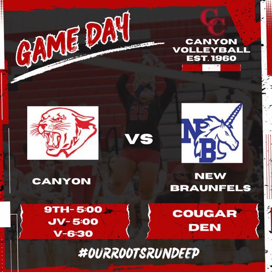 canyonVB's tweet photo. Its game day‼️@AthleticsCanyon @cisdnews #OurRootsRunDeep https://t.co/dMWgEUx04G