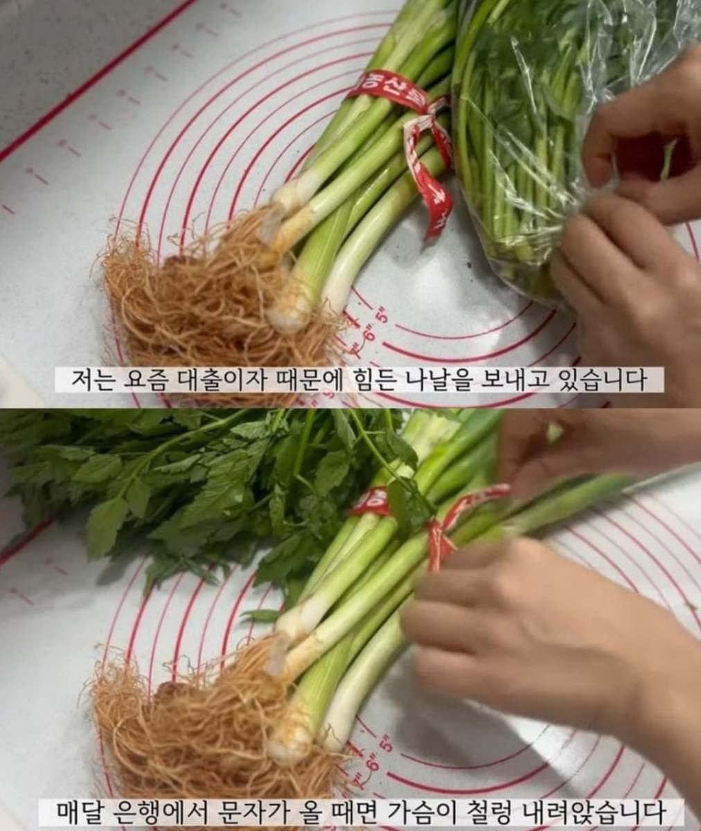 하워드🍟⚡️ tweet media
