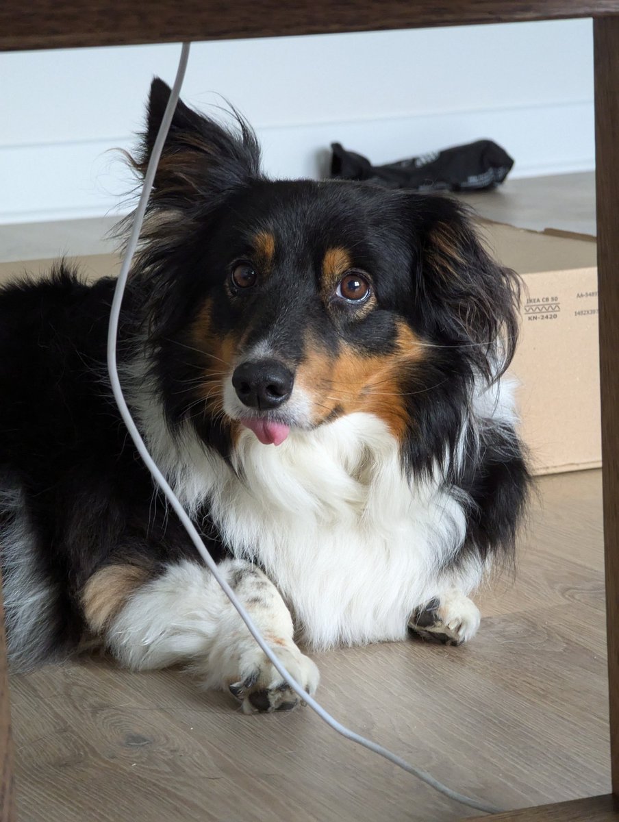 𝔸𝕟𝕘𝕖𝕝𝕦𝕩ᵀⱽ 💀 🟦☁: @angelux.tv tweet media