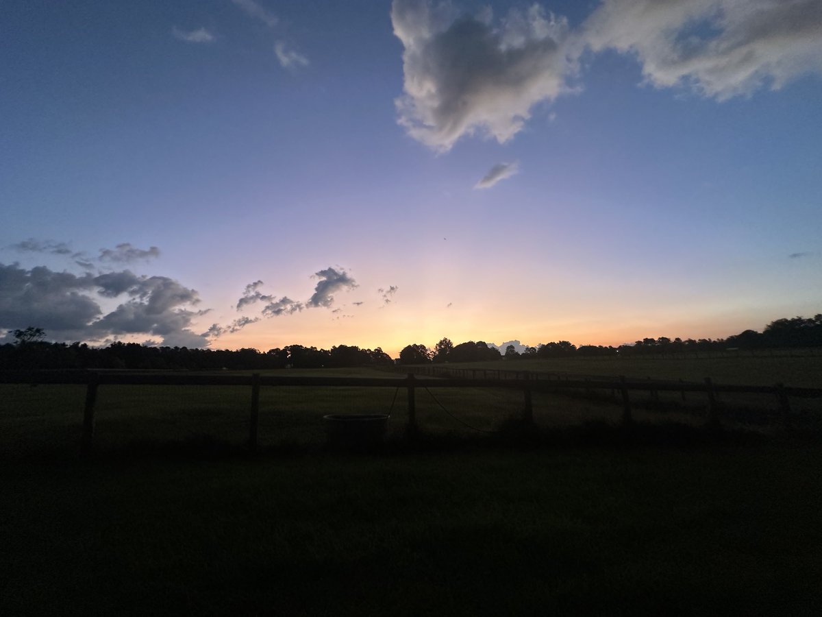 lauriefarmart's tweet photo. Morning beautiful world! #photo #sunrise #sun #photograph #photographer #photooftheday #Tuesday #camera #nature #farm #inspiration #motivation #morning #meditation #newday #day #spirituality #zen #clouds #weather #believe #calm #sunny #sky pic #picture #photoworthy #pics #be https://t.co/d9xNE2b8wa
