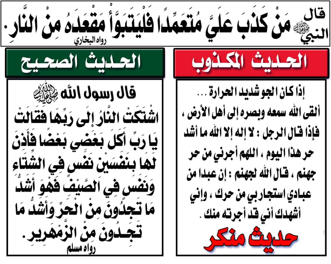 ALAA ELKANANY tweet media