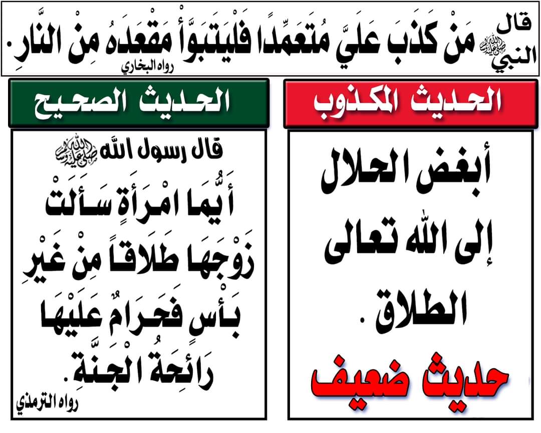ALAA ELKANANY tweet media